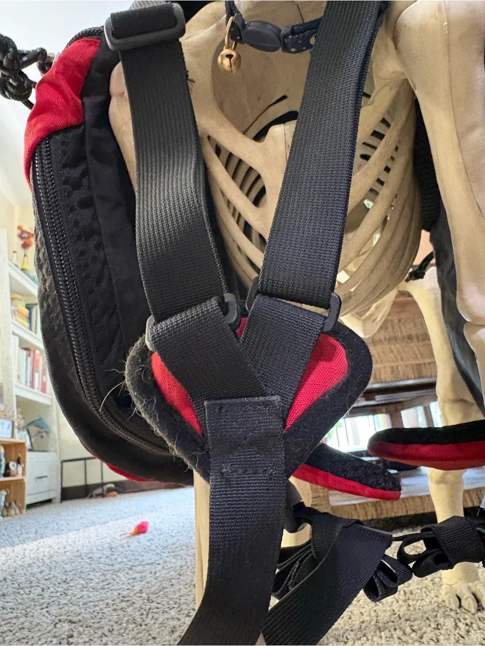 lululemon belt.bag sale Athletica Everywhere Belt Bag 1L (Asphalt Grey) : Sports & Outdoors Belt Bags catfish pro combo Model:RS905.4 Coach Signature Canvas and